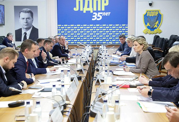 Встреча Министра культуры РФ Ольги Любимовой с представителями фракции ЛДПР