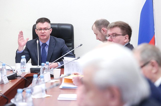 Первый заместитель Председателя Комитета по энергетике Дмитрий Исламов