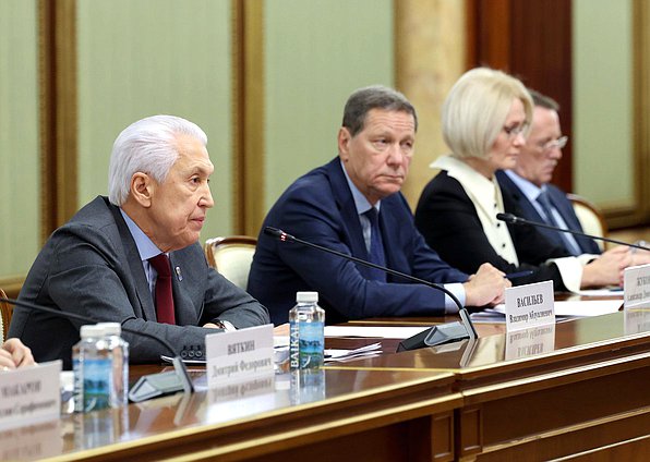 Руководитель фракции "Единая Россия" Владимир Васильев