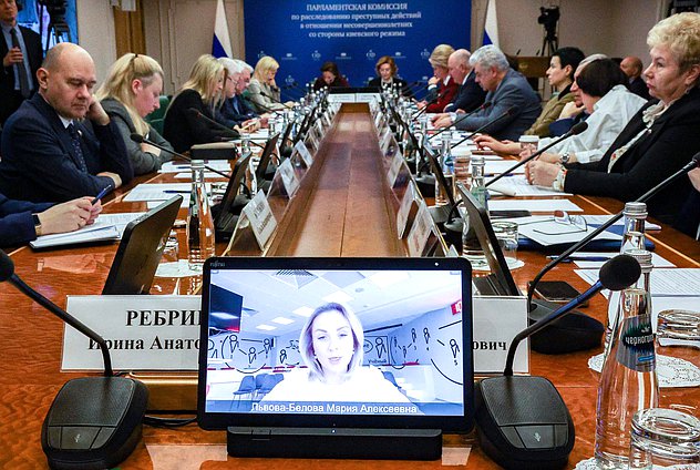 调查基辅政权针对未成年人的罪行的议会委员会会议