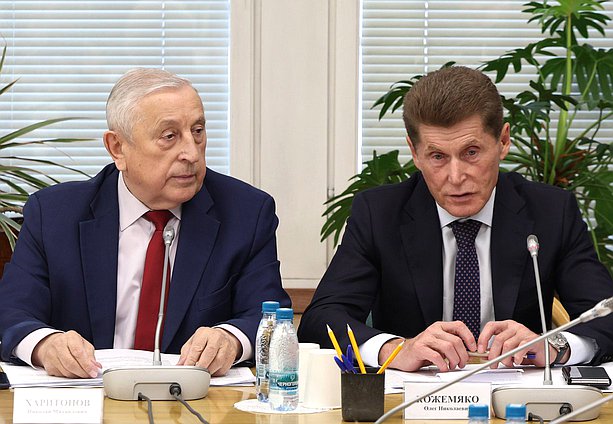 Председатель Комитета по развитию Дальнего Востока и Арктики Николай Харитонов и кандидат на должность заместителя Председателя Правительства РФ – Полномочного представителя Президента РФ в ДФО Олег Кожемяко