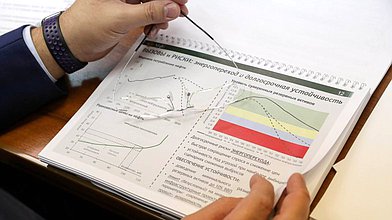 Заседание Комитета по бюджету и налогам в режиме ВКС