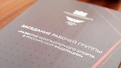 Заседание рабочей группы Комитета по физической культуре и спорту на тему: «Развитие компьютерного спорта в Российской Федерации»