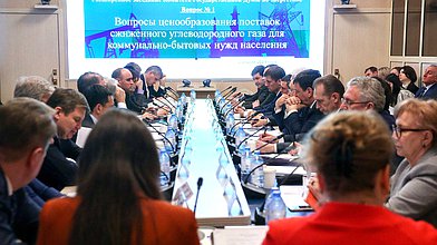 Расширенное заседание Комитета по энергетике