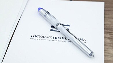 Круглый стол фракции «Новые люди» на тему «Воспитание и просвещение: традиционные ценности и современные вызовы»