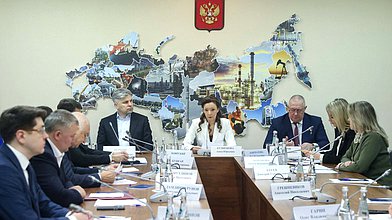 Заседание Экспертного совета по вопросам совершенствования законодательства в социальной сфере при заместителе Председателя ГД Анне Кузнецовой