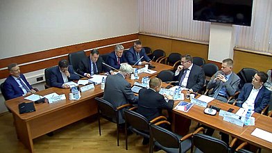 Заседание Экспертного совета Комитета по бюджету и налогам