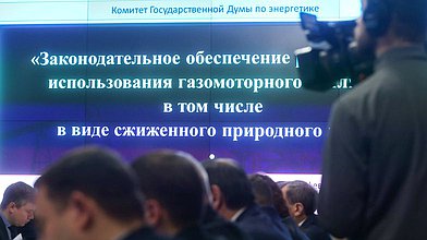 Круглый стол на тему «Законодательное обеспечение расширения использования газомоторного топлива, в том числе в виде сжиженного природного газа»