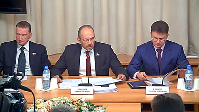 Расширенное заседание Комитета по природным ресурсам, собственности и земельным отношениям по вопросу реорганизации ФГУП «Почта России»