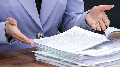 Заседание Комитета по защите семьи, вопросам отцовства, материнства и детства