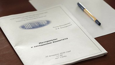 Заседание Комитета по труду, социальной политике и делам ветеранов