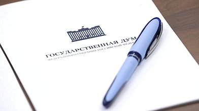 Круглый стол фракции ЛДПР на тему «Пешеходы против автомобилистов»