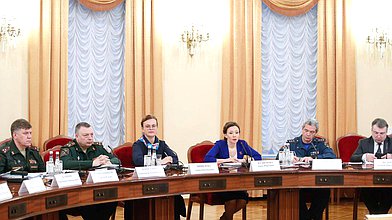 Заседание экспертного совета по вопросам совершенствования законодательства в социальной сфере при заместителе Председателя Государственной Думы Анне Кузнецовой