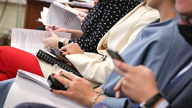 Заседание Комитета по энергетике