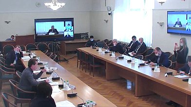 Видеоконференция Комитета по безопасности и противодействию коррупции с участием руководства МЧС, Минприроды, Рослесхоза, Авиалесоохраны