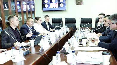 Совещание по вопросам молодежной политики с комитетами законодательных органов государственной власти субъектов Российской Федерации