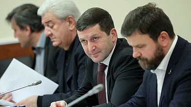 Заседание Комитета по энергетике