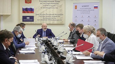 Заседание Комитета по государственному строительству и законодательству