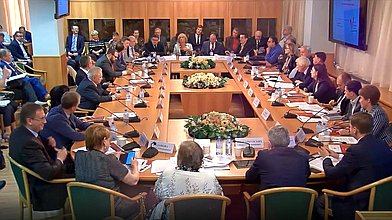 Заседание Экспертного совета местного и общественного самоуправления и местных сообществ при Комитете по федеративному устройству и вопросам местного самоуправления