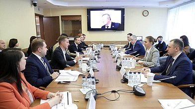 Заседание рабочей группы Комитета по молодежной политике по совершенствованию ФЗ «О государственной поддержке молодежных и детских общественных объединений»