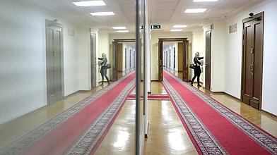 Заседание Комитета по труду, социальной политике и делам ветеранов