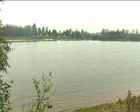 Рабочий визит Председателя Государственной Думы Сергея Нарышкина в Северо-Западный федеральный округ: митинг, посвящённый окончанию Второй мировой войны на "Невском пятачке" (Ленинградская область), 02.09.2016