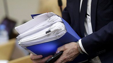 Круглый стол Комитета по защите семьи, вопросам отцовства, материнства и детства на тему «Государственная поддержка семей с детьми в РФ: влияние на демографическую ситуацию»