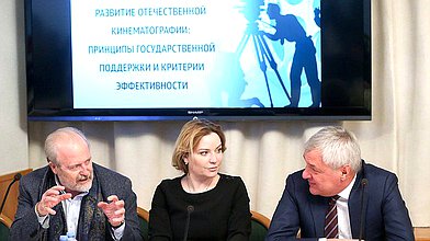 Круглый стол на тему «Развитие отечественной кинематографии: принципы государственной поддержки и критерии эффективности»