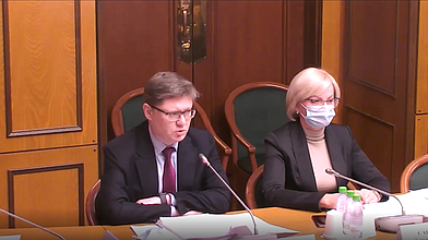 Заседание Комитета по труду, социальной политике и делам ветеранов
