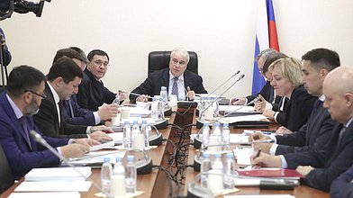 Расширенное заседание Комитета по энергетике с участием Министра энергетики РФ Николая Шульгинова