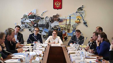 Заседание Экспертного совета Комитета по жилищной политике и жилищно-коммунальному хозяйству на тему «Новые механизмы расселения из аварийного жилищного фонда»