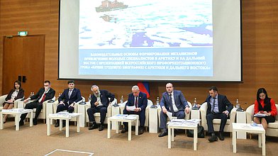 Круглый стол «Законодательные основы формирования механизмов привлечения молодых специалистов в Арктику и на Дальний Восток»