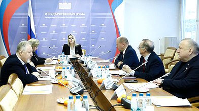 Заседание Комитета по развитию гражданского общества, вопросам общественных и религиозных объединений