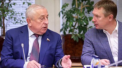 Заседание Комитета по развитию Дальнего Востока и Арктики