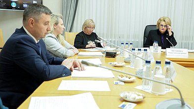 Заседание Комитета по вопросам семьи, женщин и детей