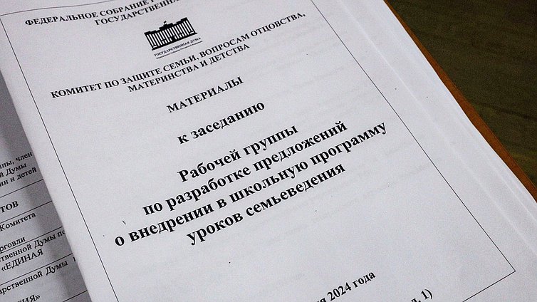 Заседание рабочей группы Комитета по защите семьи, вопросам отцовства, материнства и детства